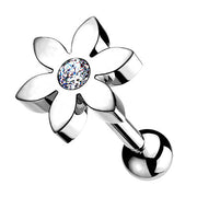 Tragus Piercing