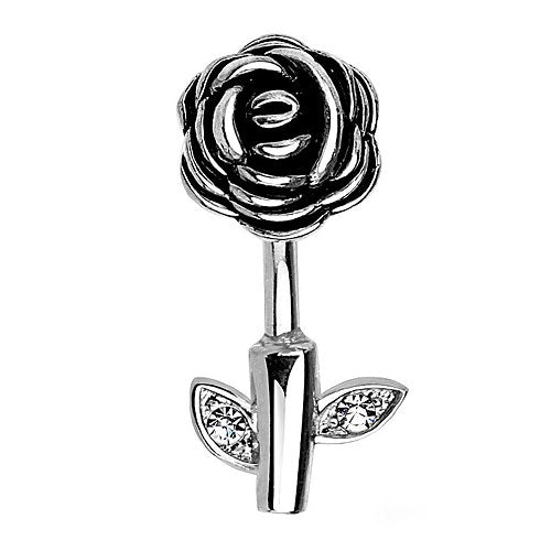N15804 - Silber