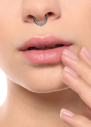 Hochwertiges Septum Piercing Ohr Segmentring Clicker Scharnier mit Kristallen