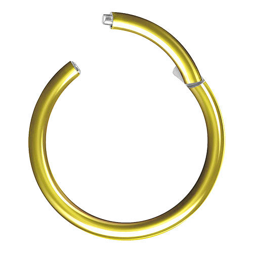 Septum Universal Piercing Scharnier Clicker vergoldet