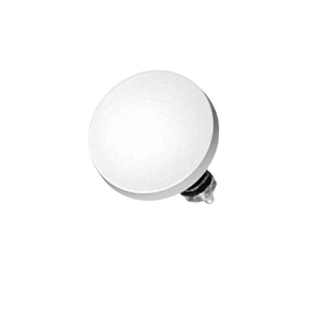 Dermal Anchor Piercing Aufsatz Platte Rund Silber