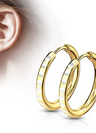 1 pair of hoop earrings with round cut made of stainless steel with notched hinge 