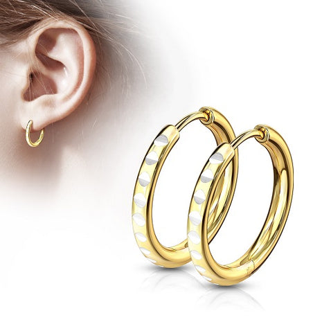 1 pair of hoop earrings with round cut made of stainless steel with notched hinge 